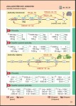 Matýskova matematika pro 4. ročník, 1. díl
