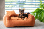 Snug elegantní pelech pro psa Barva: Modrá, Rozměr (cm): 130 x 110