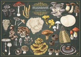 TREFL Puzzle Premium Plus Finders Keepers: Houby