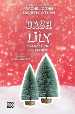 Dash a Lily: Dvanásť dní do Vianoc - David Levithan - e-kniha