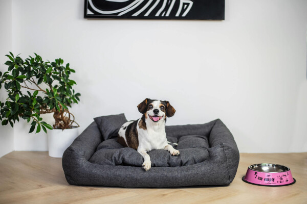 Lux nadýchaný pelech pro psa Barva: Šedá, Rozměr (cm): 90 x 75