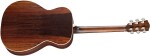 Eastman PCH2-OM-CLA
