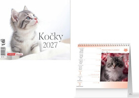 Kalendář 2027 stolní mini Kočky