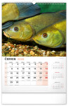 Nástěnný kalendář 2026 NOTIQUE - Rybářský, 33 x 46 cm