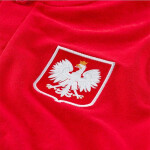 Pánské tričko Poland Grand Slam M CK9205-688 - Nike m