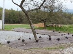 Rozložitelná ekotextilie ze 100% biomasy přírodními vlákny) Agrotextílietilie EKO+ 157 g/m² m²]