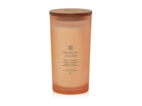 Vonná svíčka CHESAPEAKE BAY CANDLE Love & Passion 355g