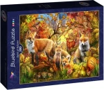 BLUEBIRD Puzzle Duch podzimu