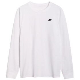 Tričko 4F Longsleeve M432 M 4FWMM00TLONM432 10S pánské m