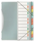 Esselte Colour'Ice mix barev / Třídicí desky / 12 listů / PP (626256)