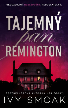 Tajemný pan Remington (poškozená) - Ivy Smoak