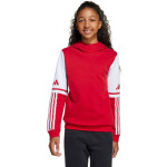 Adidas Squadra 25 Sweat Hoody Jr JD4805 Mikina 128 cm
