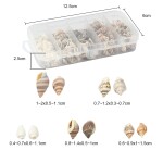 Přírodní mořské mini mušle bez dírky - sada v krabičce 50g - cca 6 ~ 18 mm - 1 balení