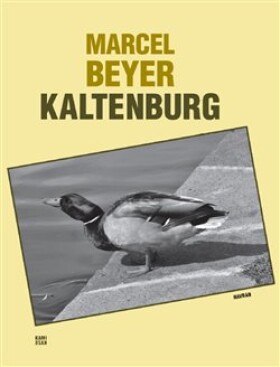 Kaltenburg Marcel Beyer