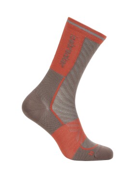 Dámské merino ponožky ICEBREAKER Wmns Run+ Ultralight Crew, Porcini/Fervid velikost: 35-37 (S)