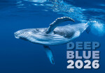 Nástěnný kalendář 2026 Helma - Deep Blue, 45 x 31,5 cm
