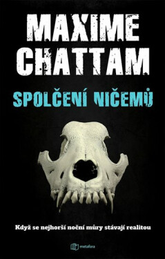 Spolčení ničemů - Když se nejhorší noční můry stávají realitou - Maxime Chattam