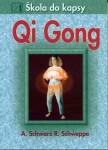 Qi Gong - Škola do kapsy - kolektiv autorů