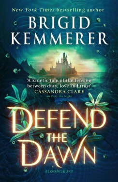 Defend the Dawn - Brigid Kemmererová