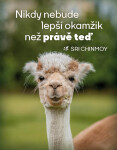 Magnet na lednici "Nikdy nebude lepší čas" - Sri Chinmoy