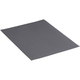 Rhodius WSP 301017 brusný papír Zrnitost 800 (š x v x h) 230 x 1 x 280 mm 50 ks