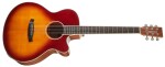 Tanglewood TW4 E SB