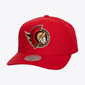 Mitchell & Ness Pánská kšiltovka Ottawa Senators NHL Team Ground 2.0 Pro Snapback