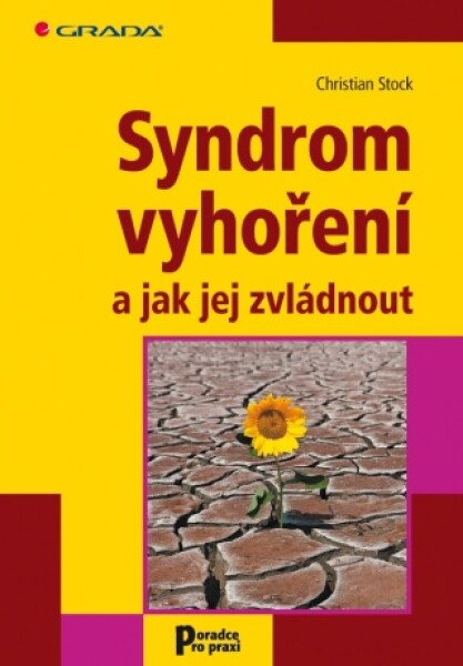 Syndrom vyhoření a jak jej zvládnout - Christian Stock - e-kniha