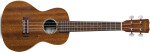 Cordoba 20CM Concert Ukulele - Natural