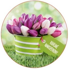 Obrázek Jedlý papír Tulipán