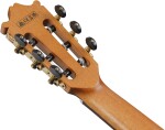 Ibanez GA360TCE NT