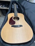 Eastman E1DL (použité)