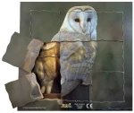 Just Jigsaws 647 Sova a její životní cyklus - dřevěné vrstvené puzzle