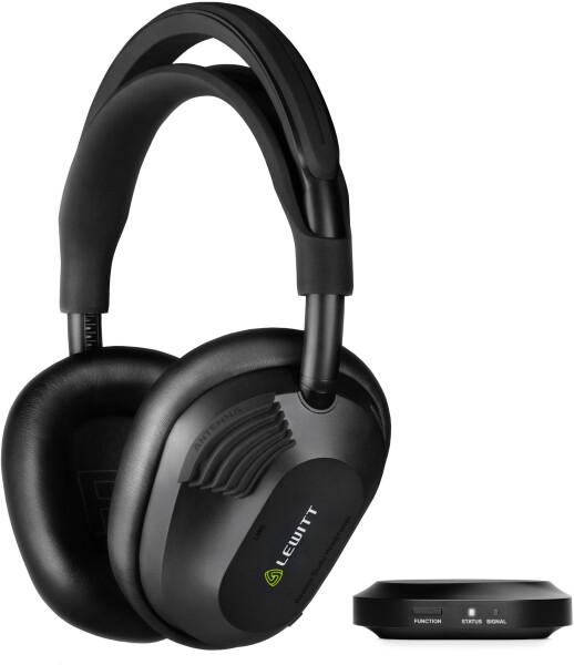 Lewitt LW6