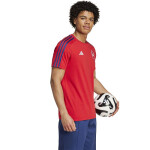 Adidas Arsenal London DNA Tee M IT4104 tričko pánské s
