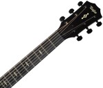 Taylor Builder's Edition 324ce Next Generation