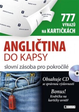 Angličtina do kapsy