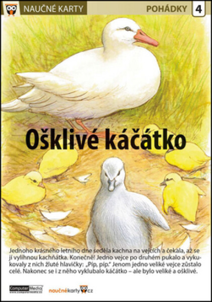 Ošklivé kačátko Naučná karta