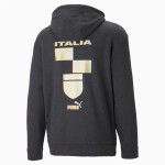 Pánská mikina Puma Figc Ftbl Coulture Hoody M 767136-09 L