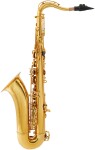 Arnolds & Sons ATS-301 Terra