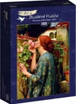 BLUEBIRD Puzzle Duše růže