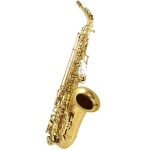 Keilwerth MKX Alto Gold lacquer
