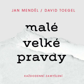 Malé velké pravdy: Každodenní zamyšlení - Jan Menděl, David Toegel