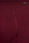 Pánské slipy AUTHENTIC 221 claret XL