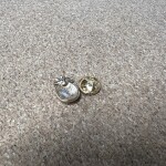 Pinarna.cz Ananas - mini