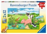 Ravensburger Mláďata na farmě