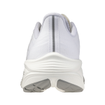 Běžecké boty Mizuno MIZUNO NEO COSMO J1GC251335 Velikost obuvi v EU: 46