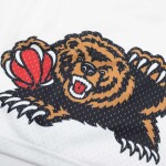 Mitchell & Ness Pánské kraťasy Vancouver Grizzlies NBA 1998-99 Swingman Shorts Velikost: L