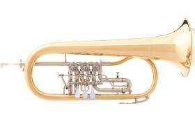 B&S 3017/2TR-L