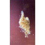 Šon Chung Šonův Sopel revoluční nástraha 85g vysoká dóza,Šon Chung Šonův Sopel revoluční nástraha 85g vysoká dóza